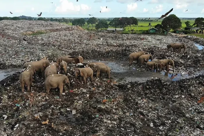 Menyedihkan, Puluhan...