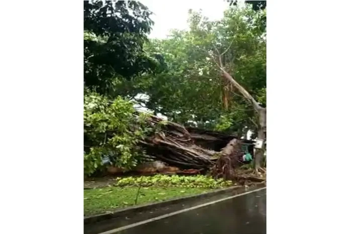 Hujan Disertai Angin...