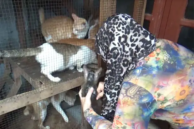 Kisah Mama Yeni, Perempuan...