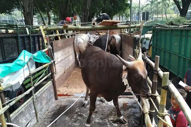 Cegah Penularan Virus...