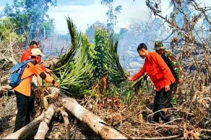 7 Hektare Kebun Karet...
