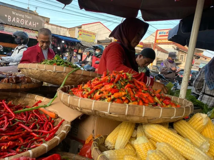 Harga Cabai Rawit di...