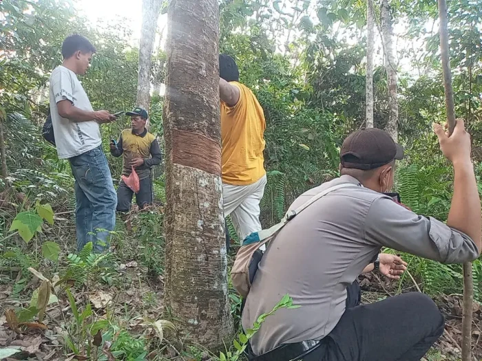 Pura-pura Pingsan, Warga...