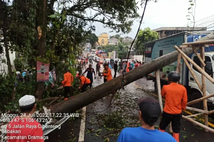 Dipicu Hujan Angin,...