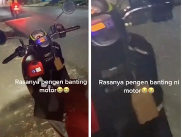 Viral! Video Ular Muncul...