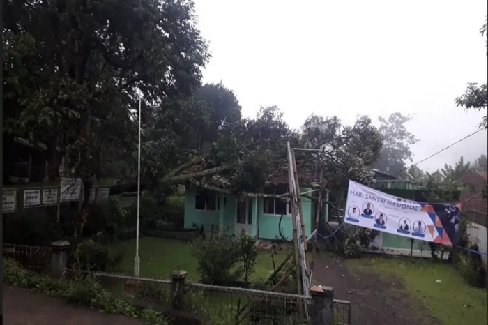 Diterjang Hujan-Angin,...