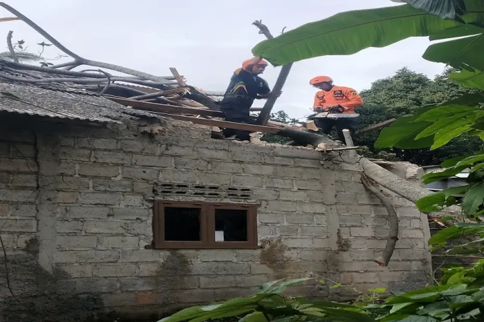 Diterpa Hujan Angin,...