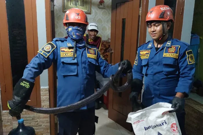 Dikira Suara Gas, Warga...