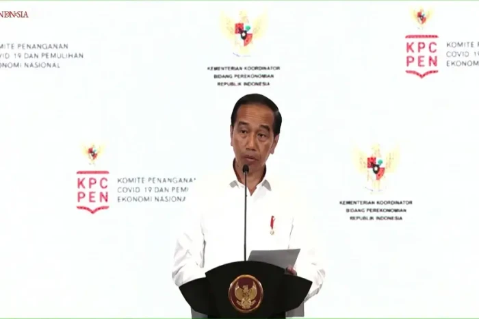 Cerita Jokowi soal WHO...