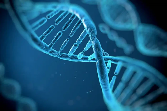 Bangun Database DNA...
