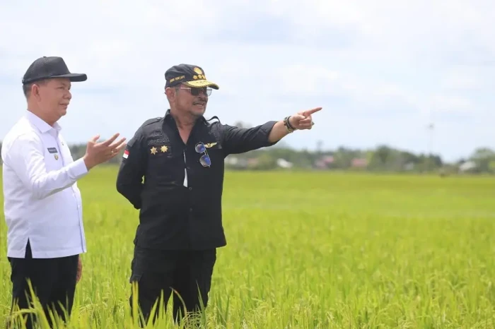 Gara-gara Air, Pengembangan...