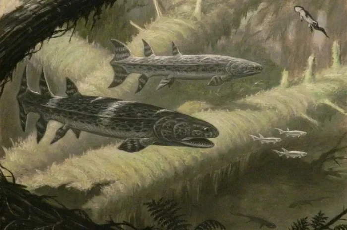 Ikan Lapis Baja dengan...