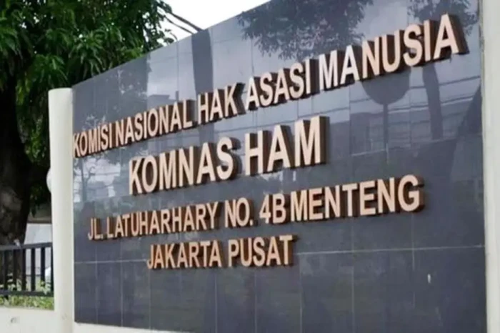 Komnas HAM Duga Ada...