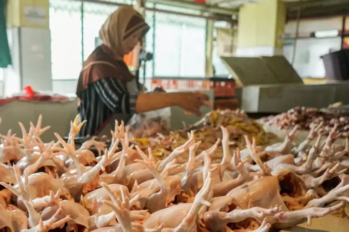 Tips dari Bapanas Dapatkan...