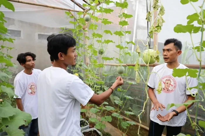 Pelatihan Budi Daya...