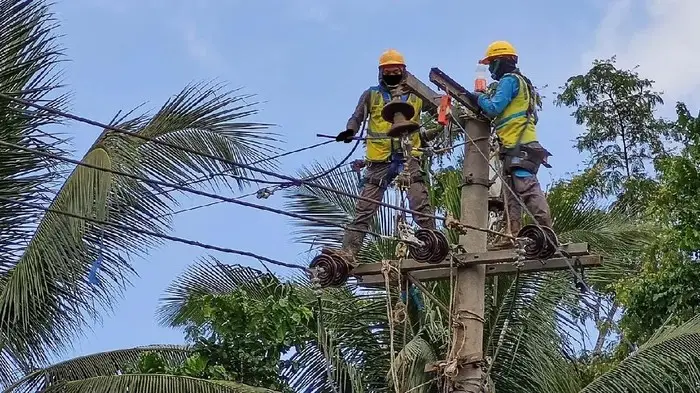 Kabel Jaringan PLN Diduga...