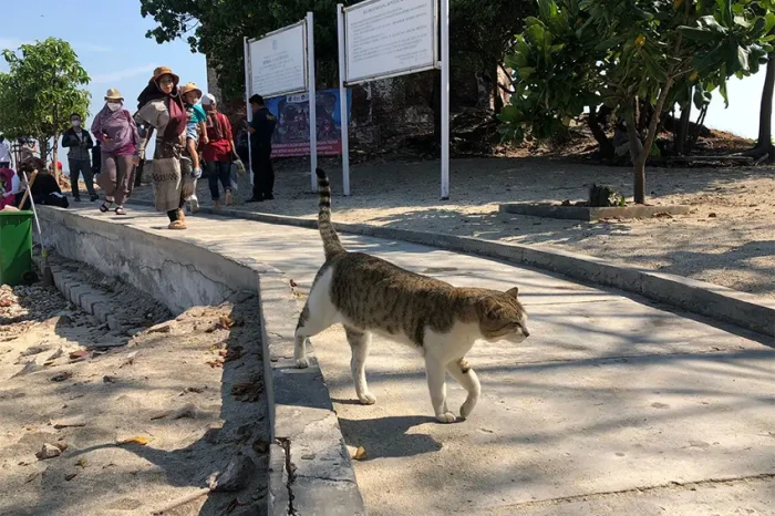 Ini Penjelasan Kenapa...
