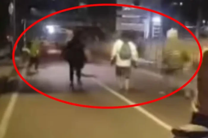 Viral Tawuran Remaja...