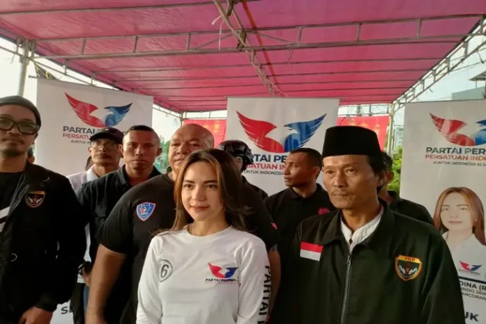 Dibantu Baja Perindo,...