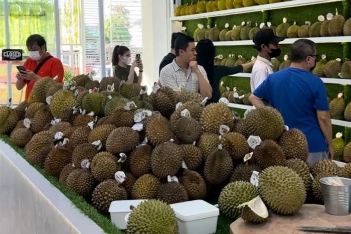 Berburu Kenikmatan Durian...