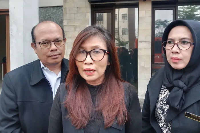Disabilitas Korban Pemerkosaan...