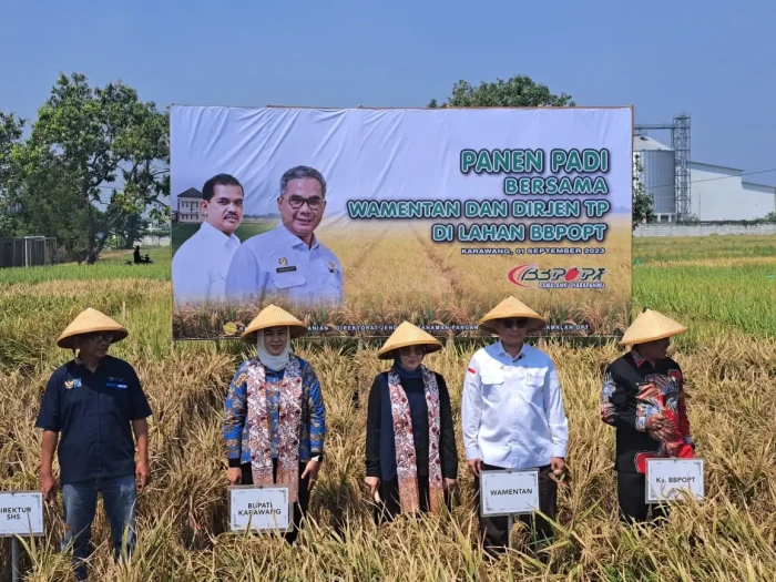 Kementan Pastikan Stok...