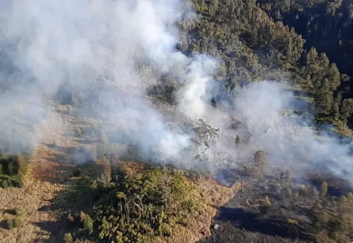 Karhutla di Gunung Arjuno...