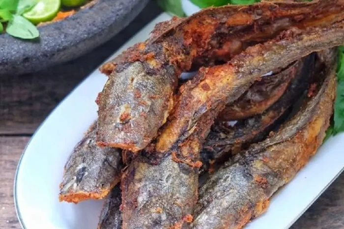 Apakah Ikan Lele Tinggi...