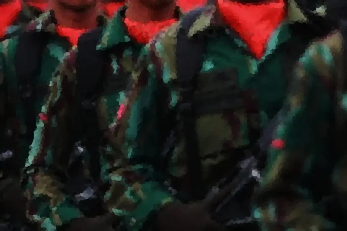Oknum Perwira TNI Diduga...