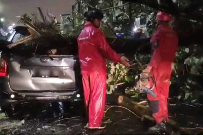 Hujan Angin di Bogor,...