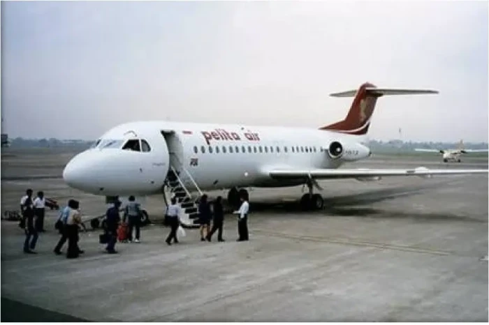 Merger Pelita Air dan...