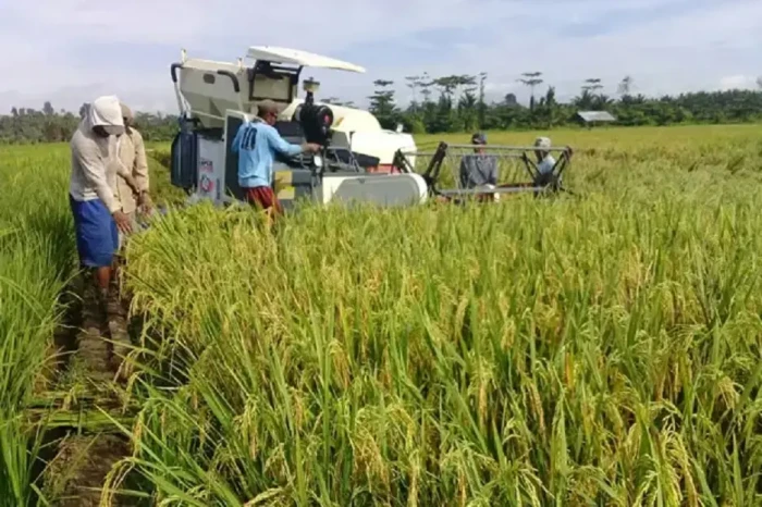 Pakar IPB Minta Food...