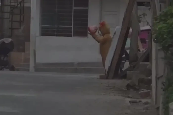Viral! Aksi Polisi Nyamar...