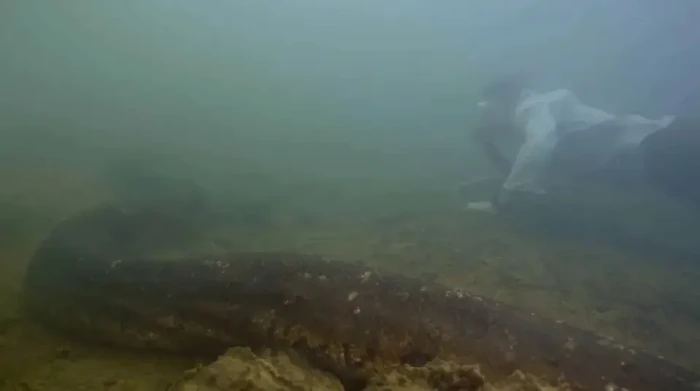 Ahli Biologi Berenang...