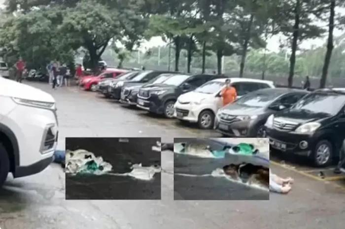 Detik-detik 4 Tewas...