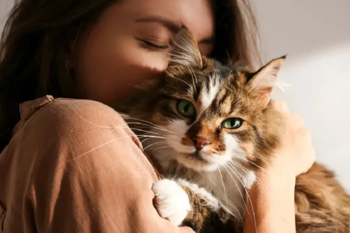 Waspadai Parasit Toxoplasma,...