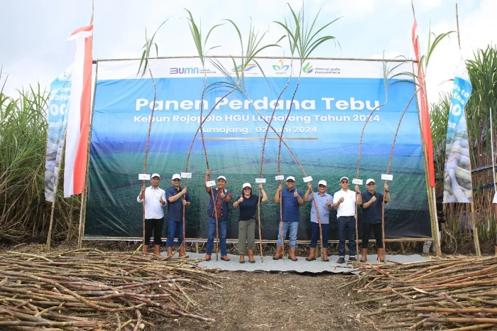 PTPN I Regional 4 Optimistis...