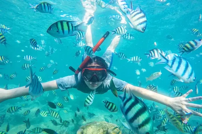 7 Spot Snorkeling Terindah...