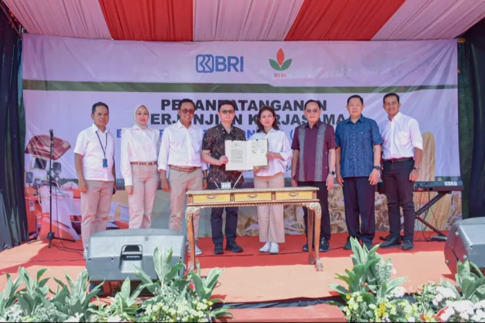 Gandeng BISI, BRI Kucurkan...