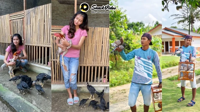 Lewat SnackStar, SnackVideo...