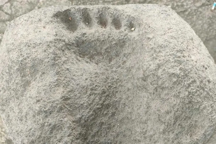 Batu Tapak Kaki Raksasa...