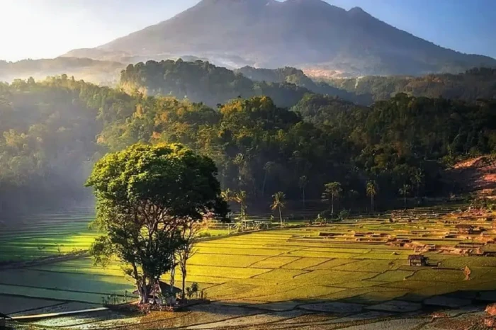 5 Pesona Desa Sembalun...