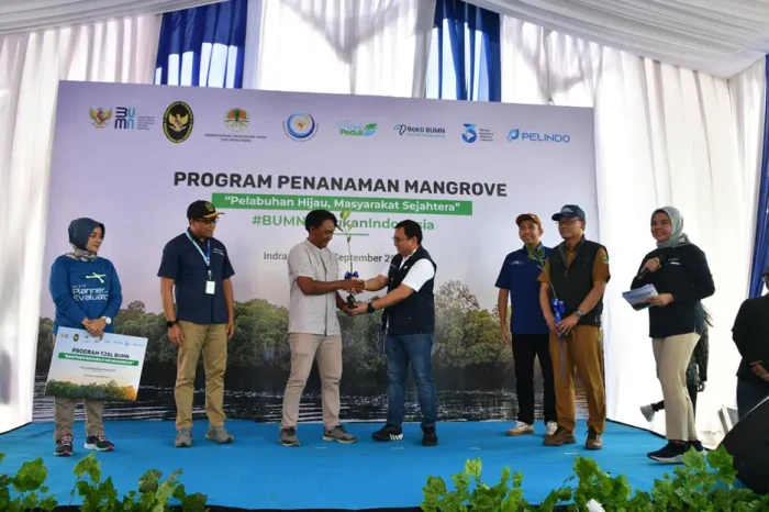Rehabilitasi Mangrove...