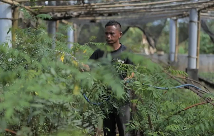 PLN Gandeng Kementan...