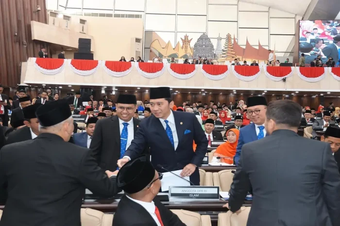 Kembali Jadi Anggota...