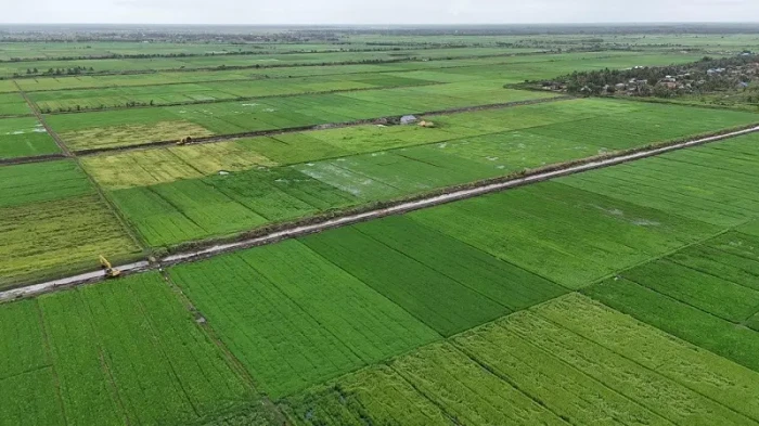 Kementan Jelaskan Produksi...