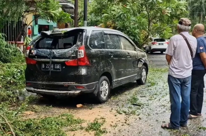 Belasan Pohon di Jakarta...