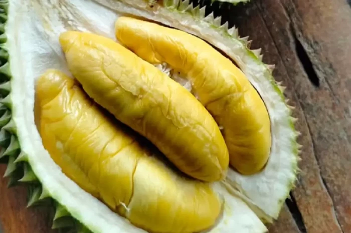 6 Makanan dan Minuman...
