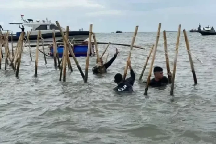 Kasus Pagar Laut Tangerang,...