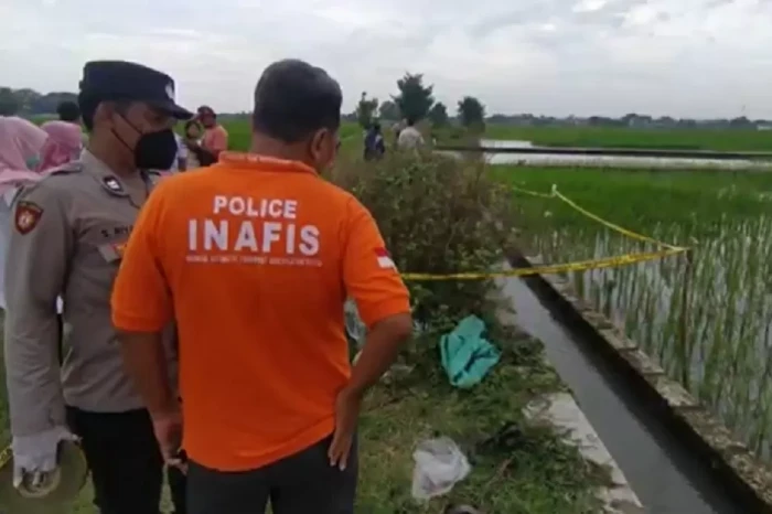 Jombang Digemparkan...